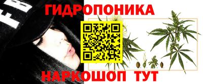 Альфа ПВП Ликино-Дулёво