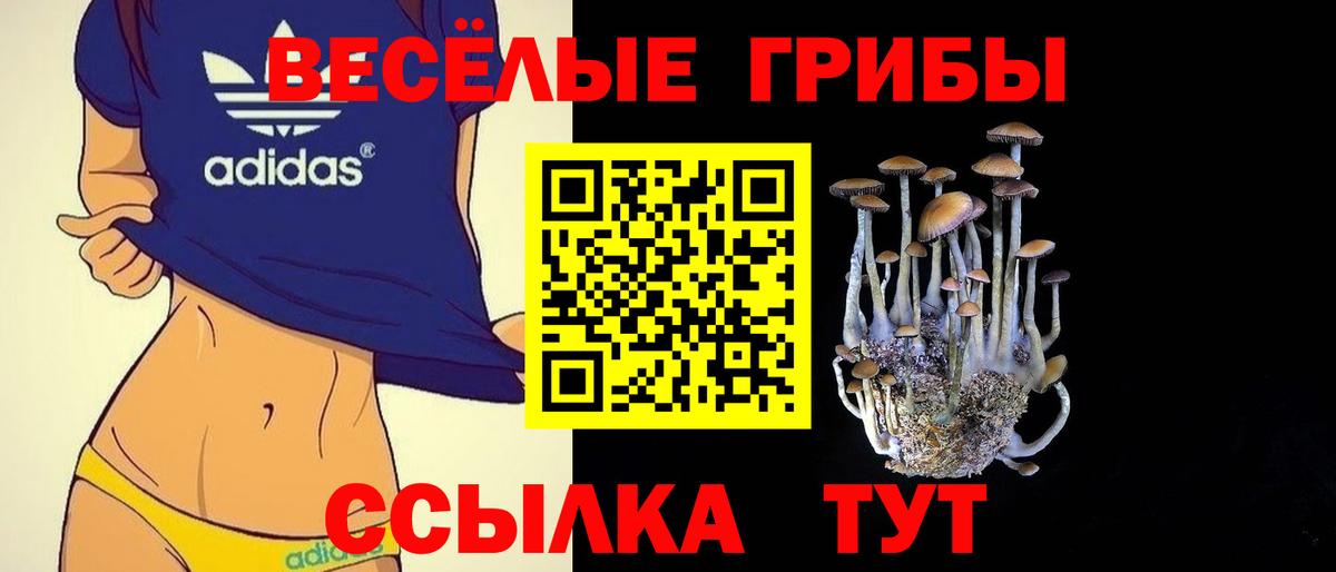 Чита  Галлюциногенные грибы Psilocybine cubensis  Вход с VPN 